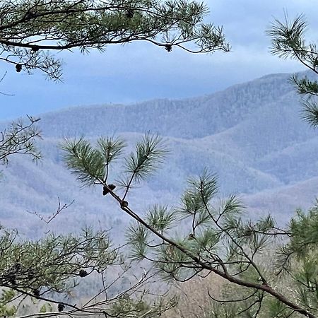 Mountain Love Nest Gatlinburg Bagian luar foto