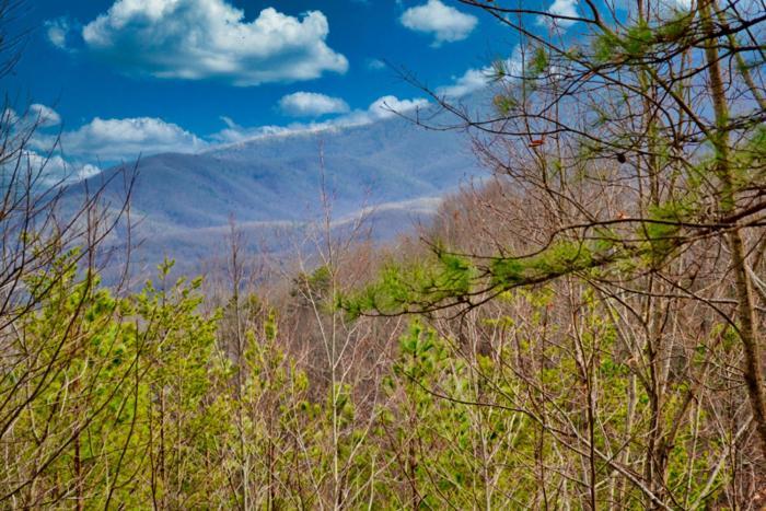 Mountain Love Nest Gatlinburg Bagian luar foto