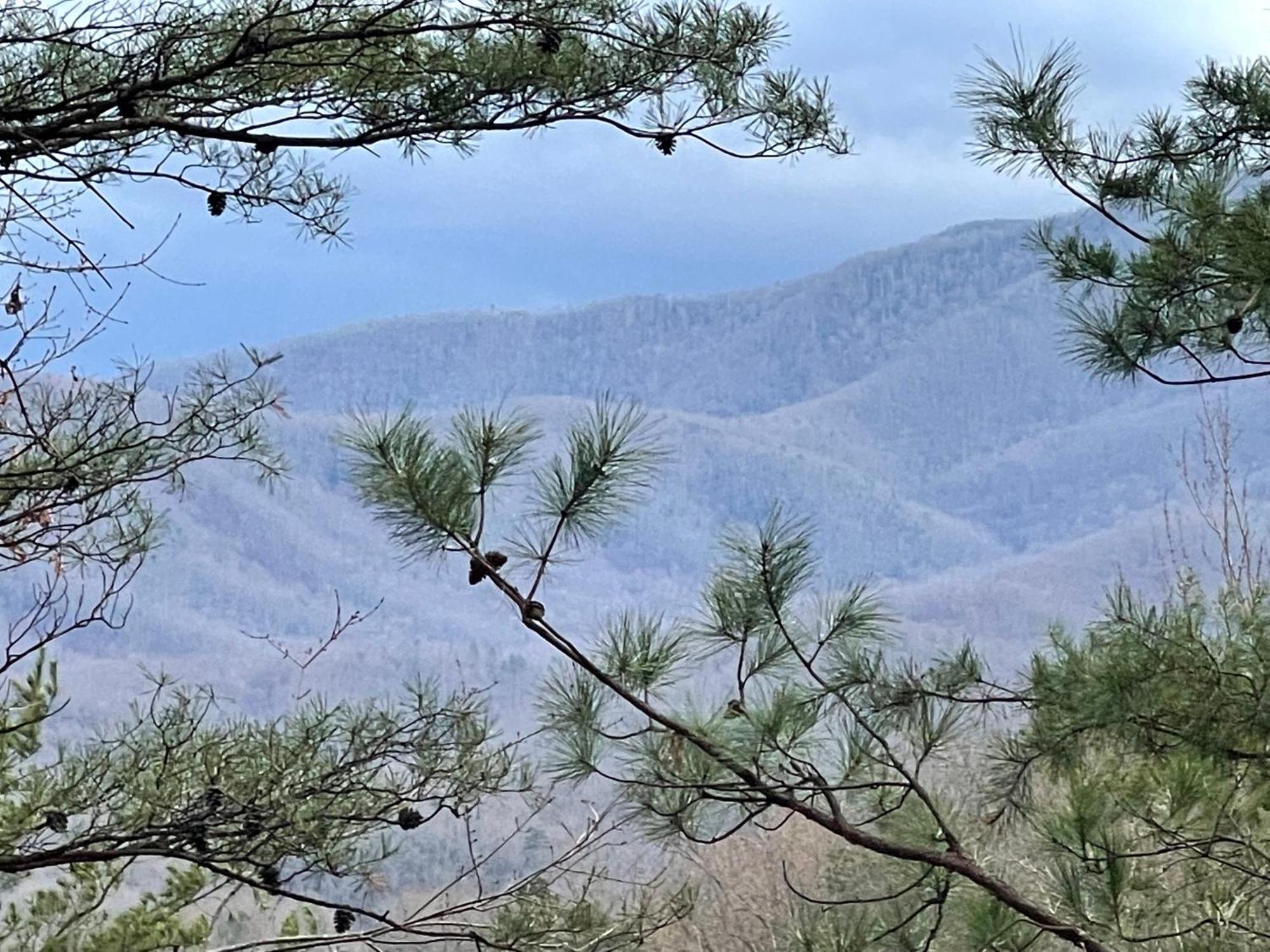 Mountain Love Nest Gatlinburg Bagian luar foto